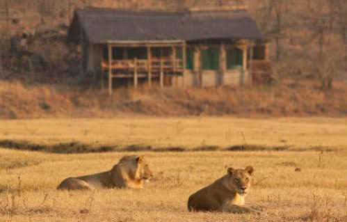 Sanctuary Makanyane Safari Lodge Madikwe Game Reserve Exterior photo